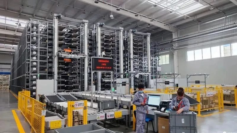 批发托盘代理加盟：揭秘仓储物流设备的秘密通道